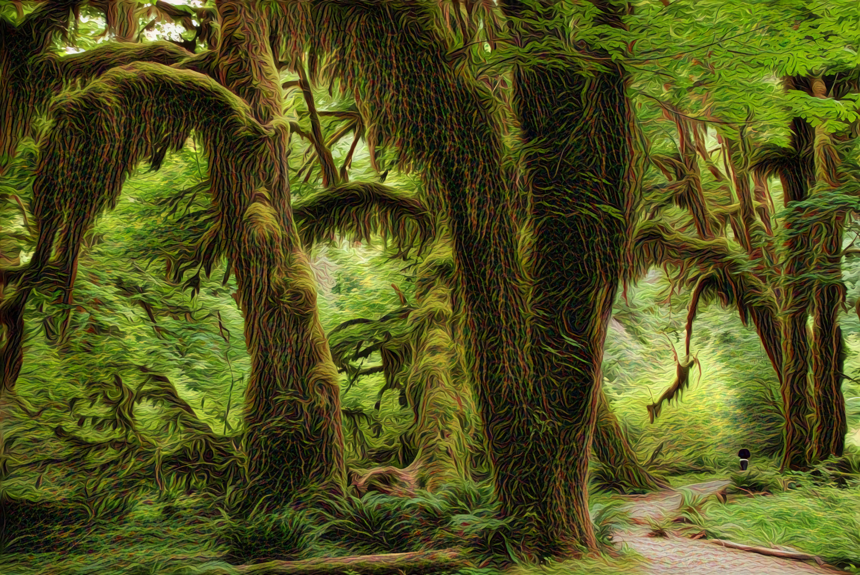 Mossy Forest