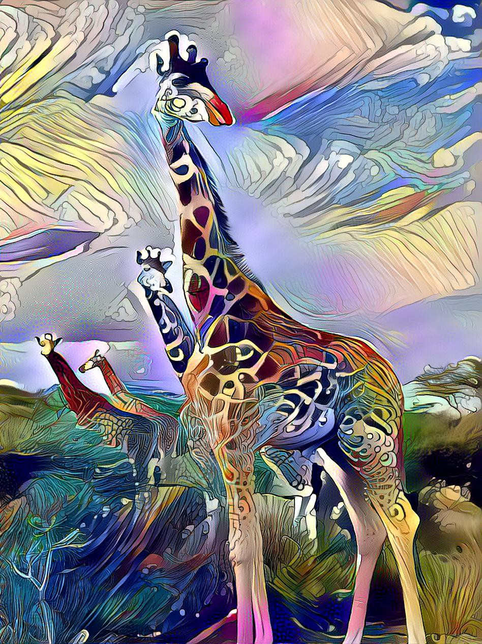 Giraffes