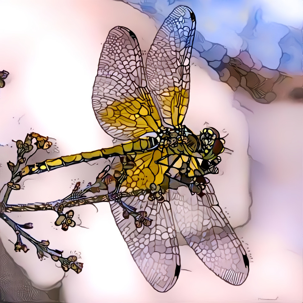 Yellow Dragonfly