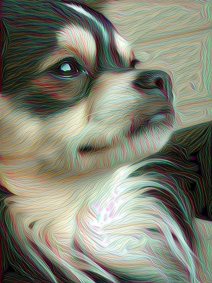 Doggie