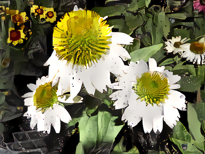 Coneflowers #3