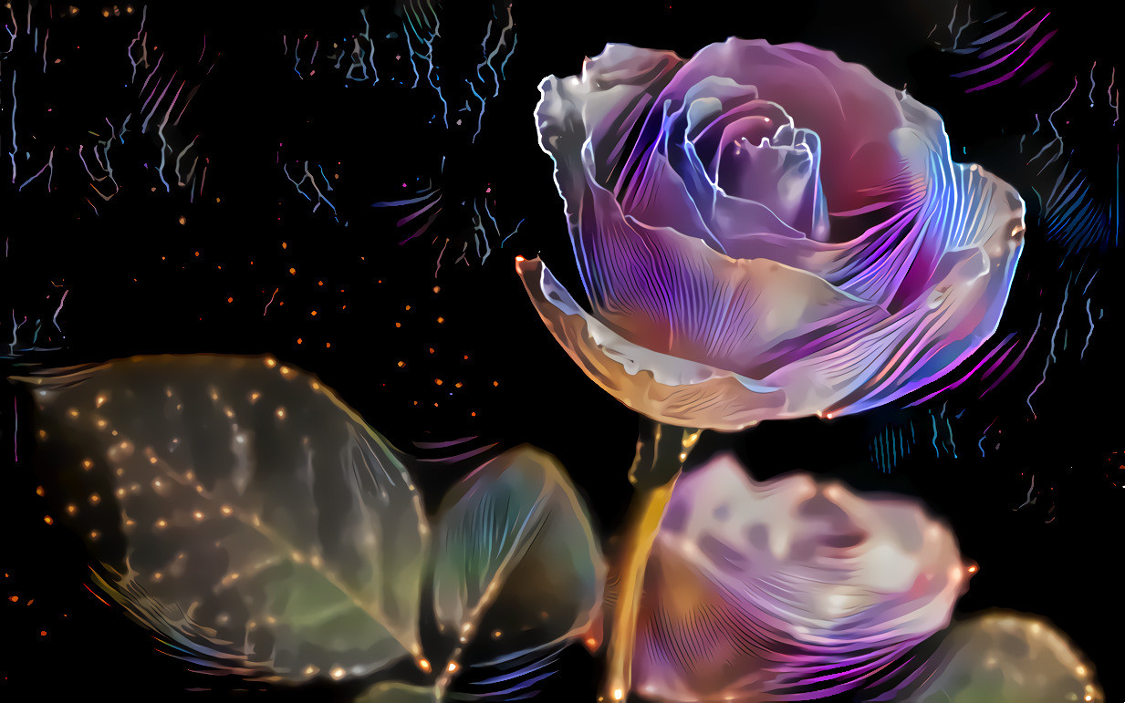 An Electric Rose ♥