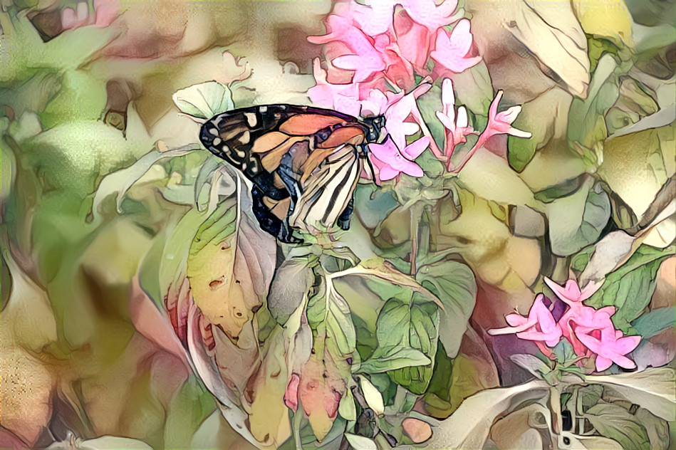 Butterfly garden