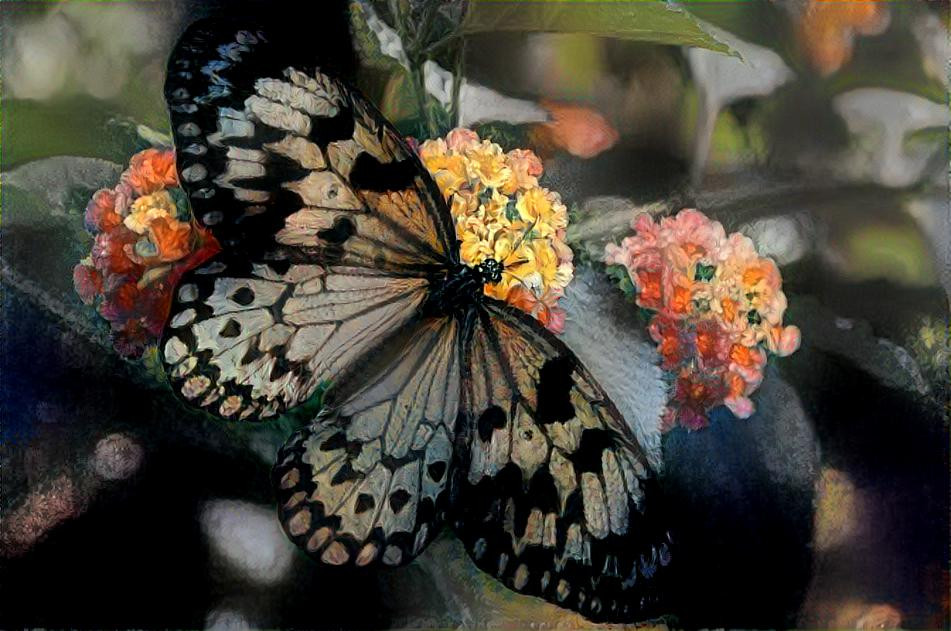 ~ Butterfly, Untitled ~