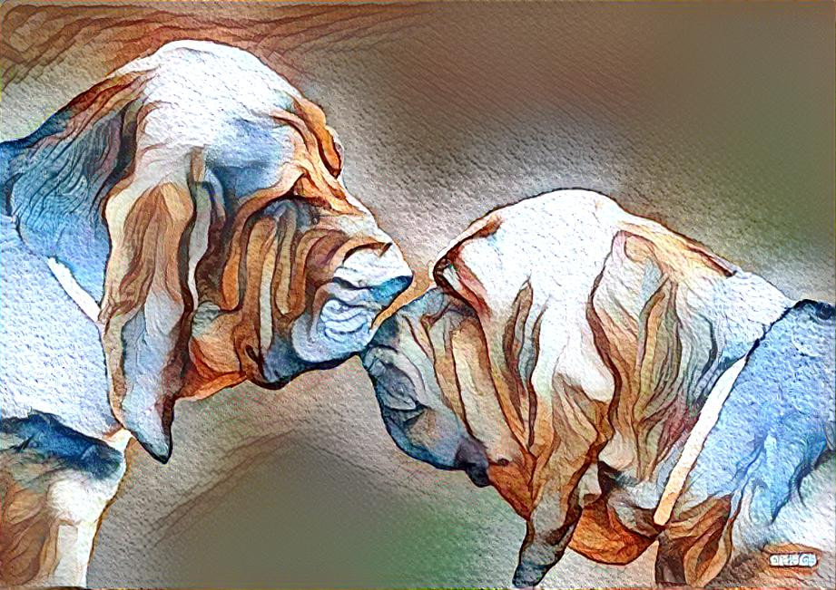 My bloodhounds: Vondracek & Mary