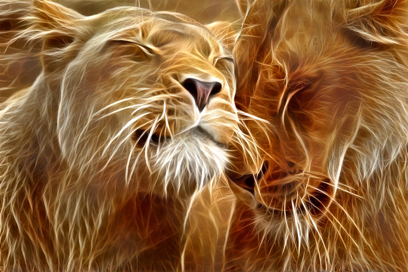 Electric Lion Love  [1.2MP]