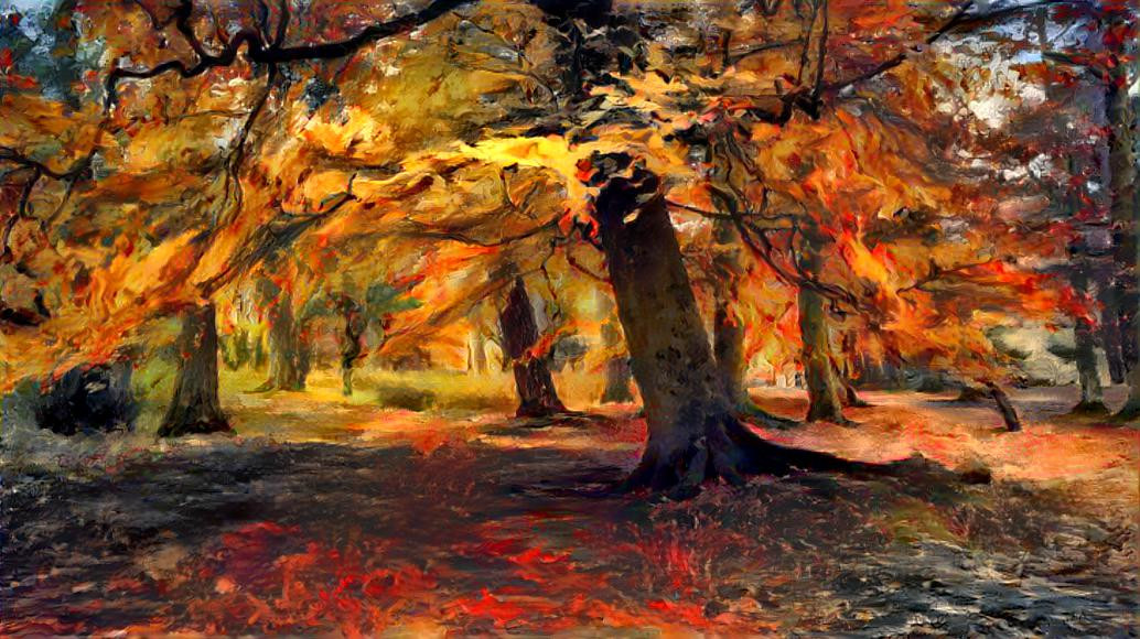 FOREST ON FIRE