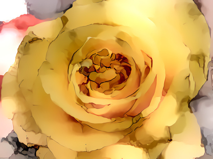 Yellow Rose #2