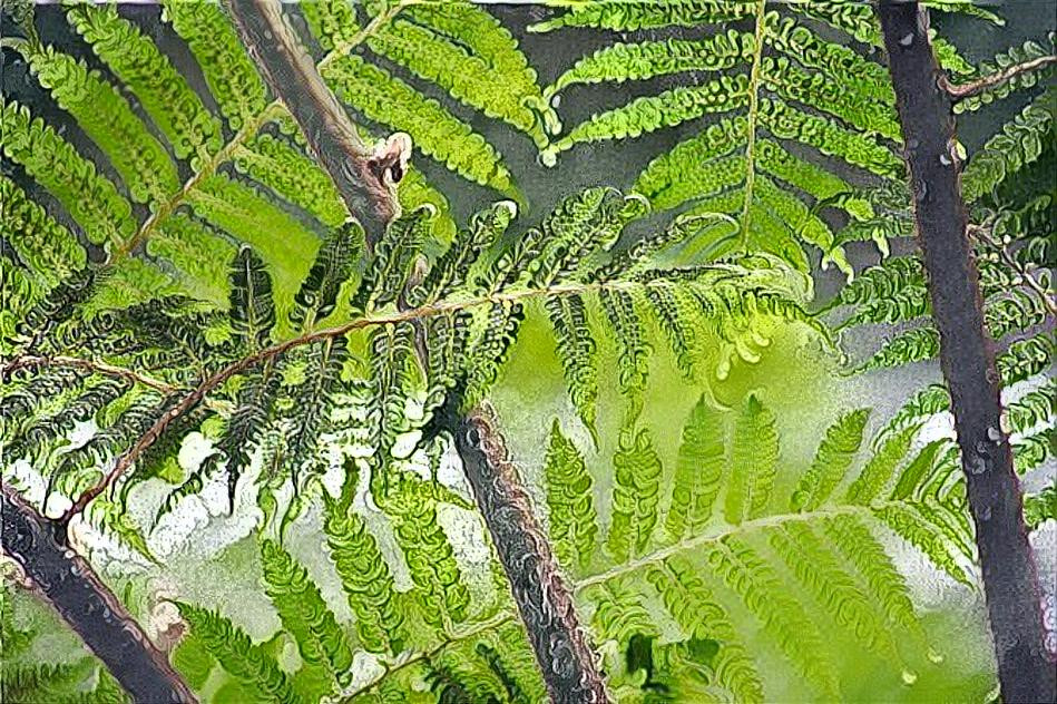 Through the green leaves