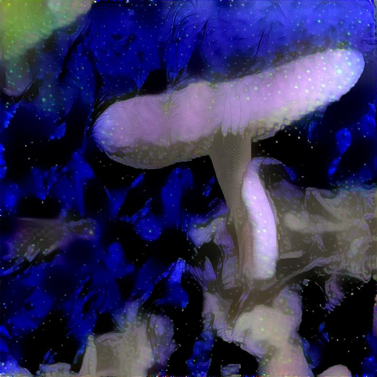 mushroom 5