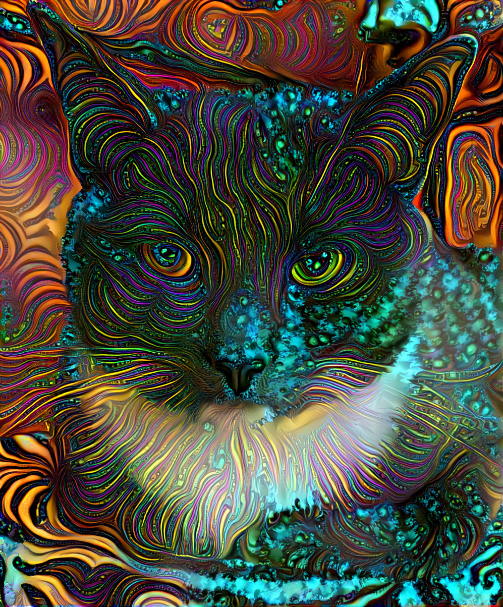 Feline Fury 