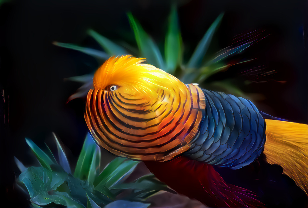 Chinese Golden Pheasant. Original photo by David Clode on Unsplash.