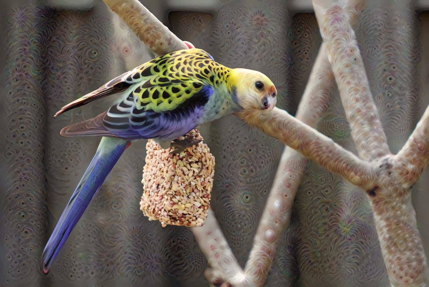 Blue and Yellow Parrot