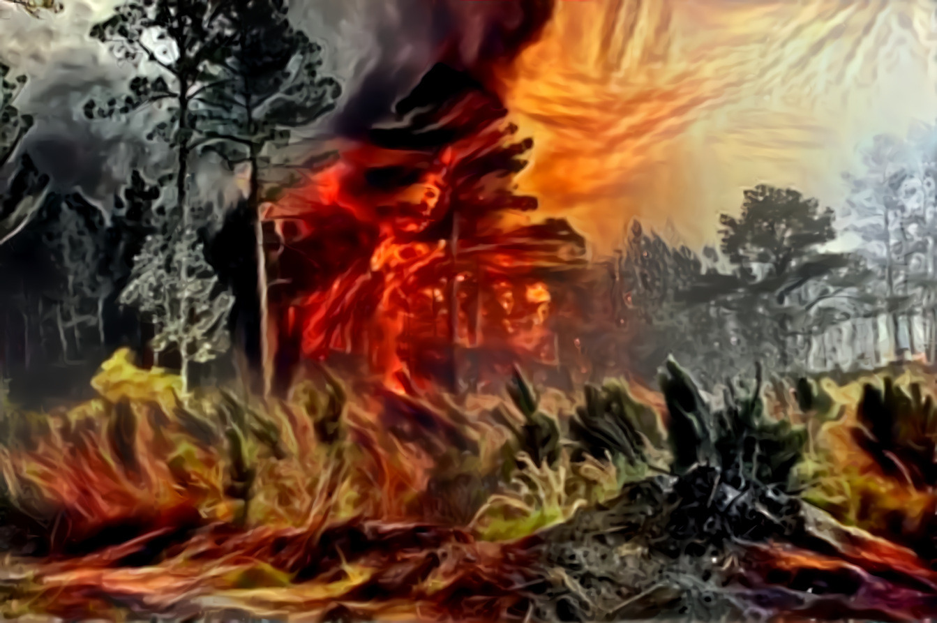 Swamp Fire