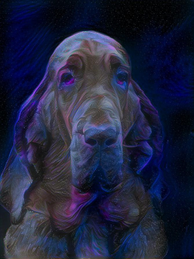 My bloodhound girl Klara