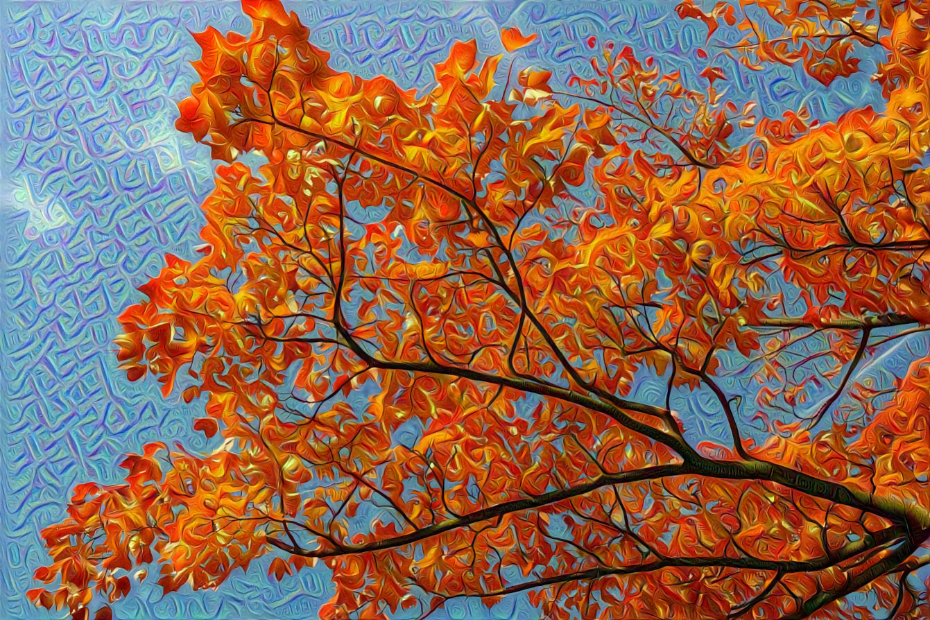 Autumn Maple Leaves