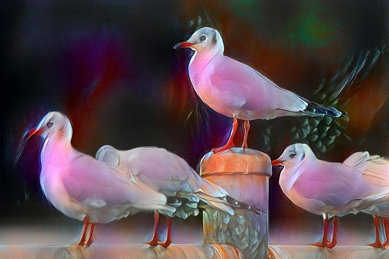 My Magenta Magenta Magenta Seagull