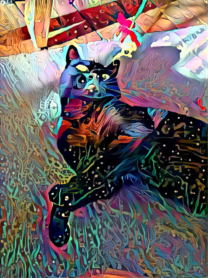 Patterned cat