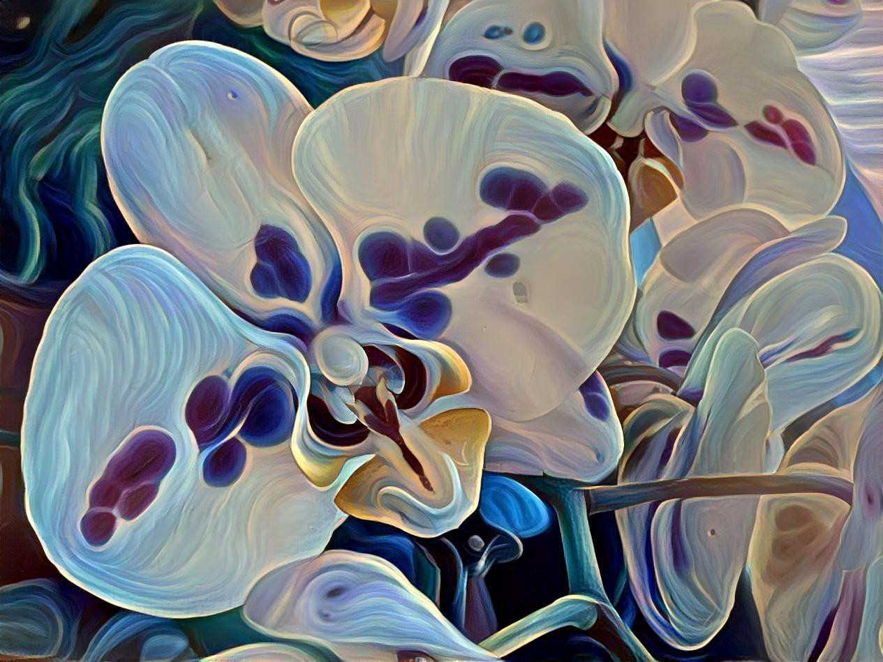 Orchid