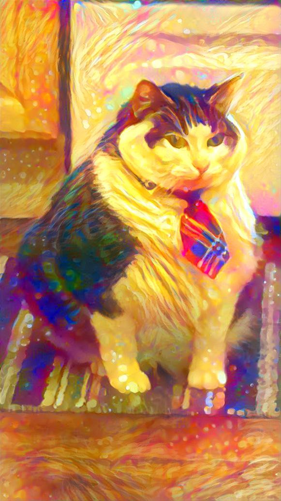 Business Cat