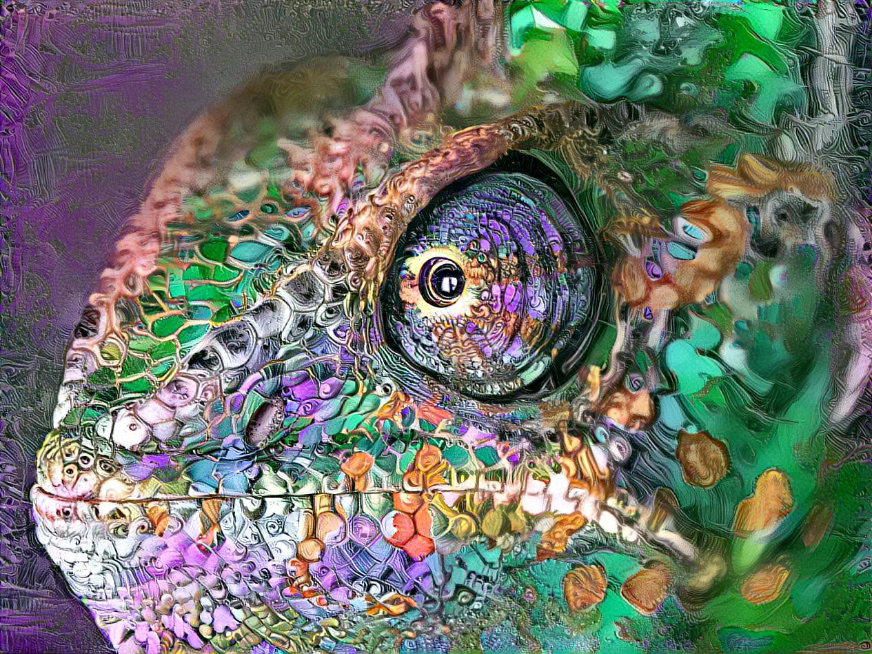 Chameleon