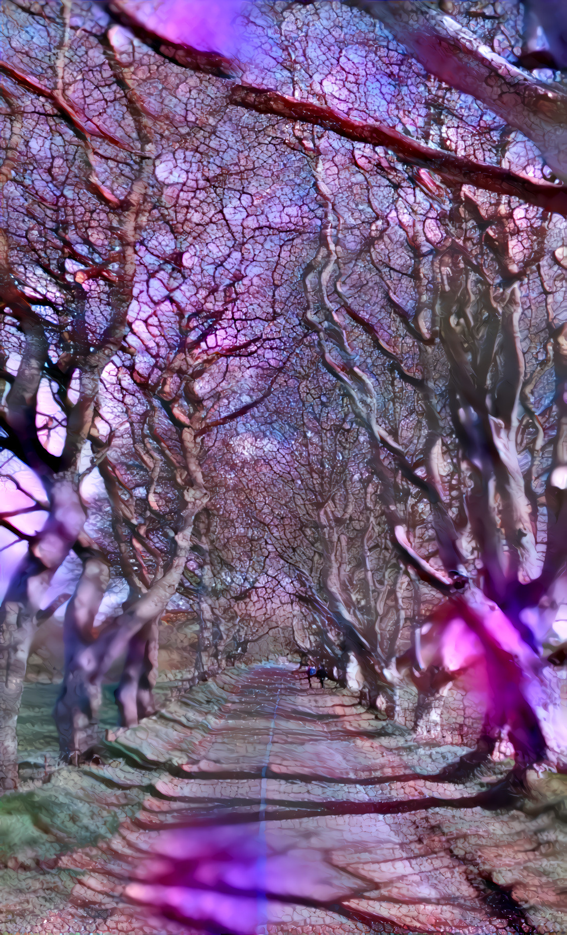 Dark Hedges Daytime Mosaic