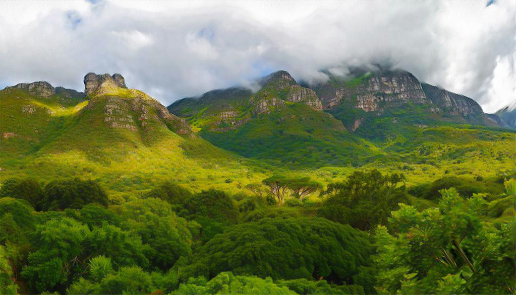 Kirstenbosch Botanic Garden, South Africa