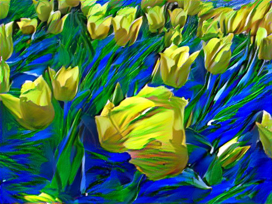 Yellow Tulips