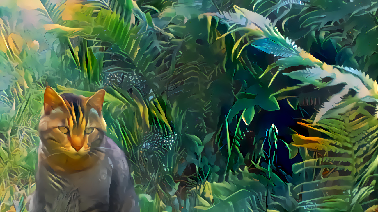 Jungle cat