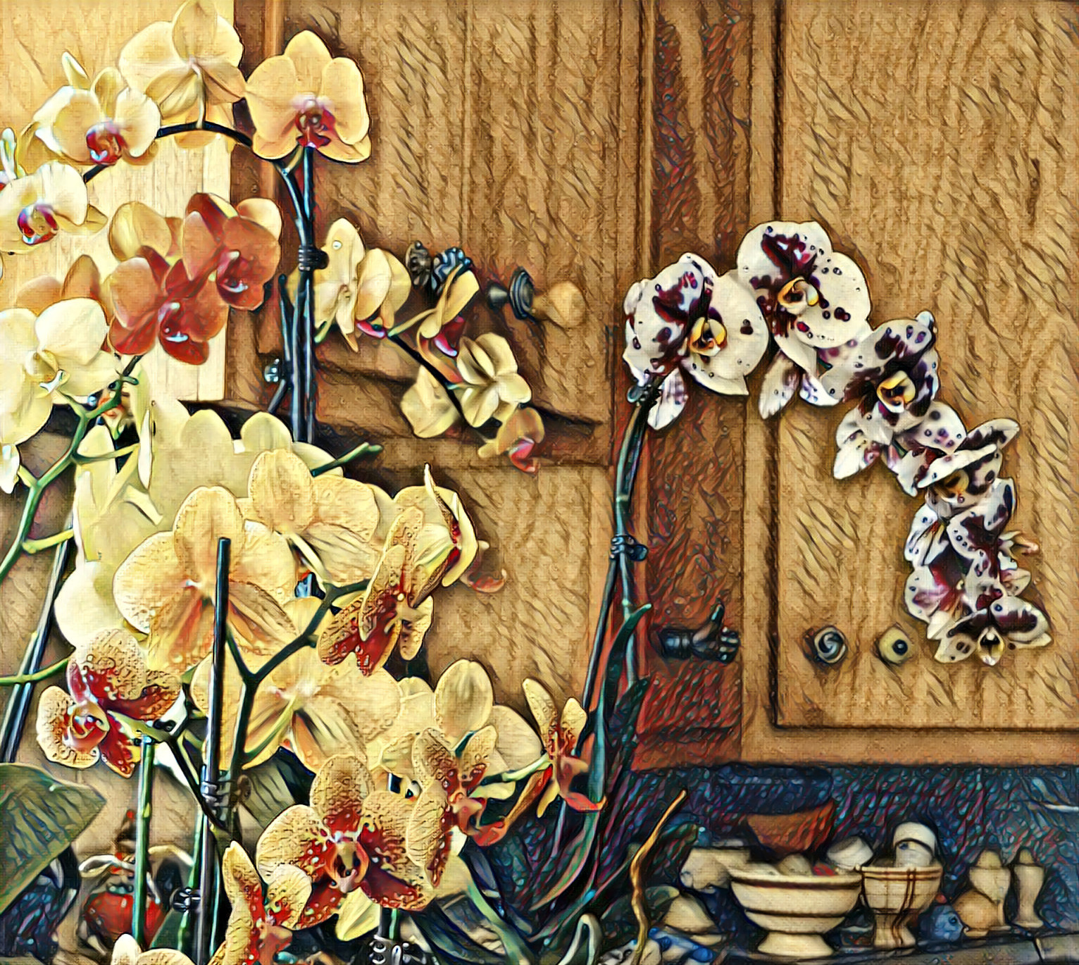 Orchids in my Kitchen #1