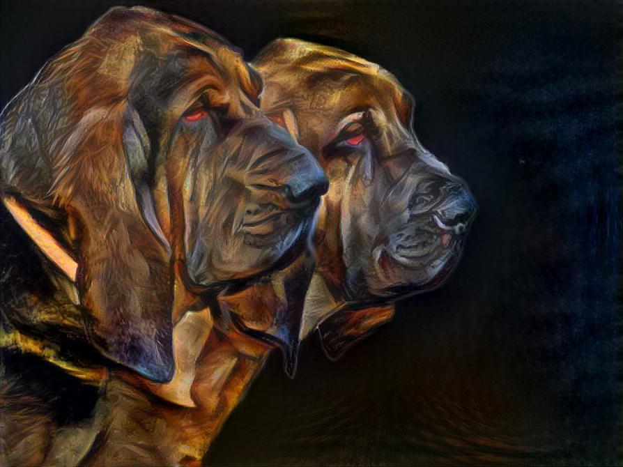 My bloodhound Vondracek & his son Pepper (Peppino)