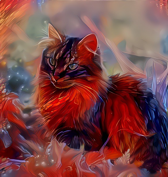 fire cat