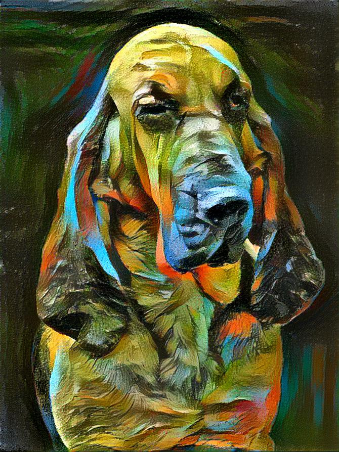 My bloodhound girl Carmen