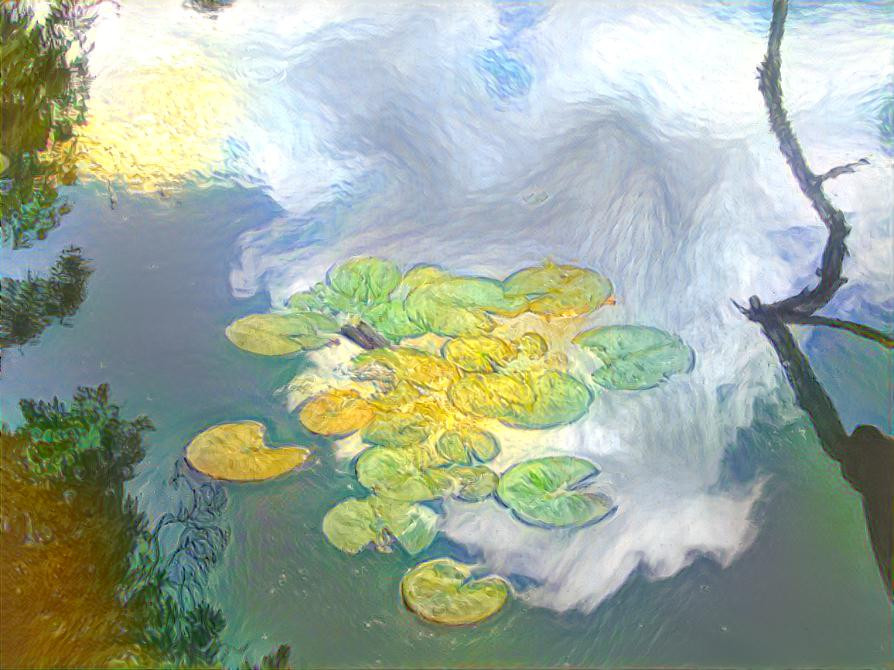 Clouds Reflecting on the Lily Pond