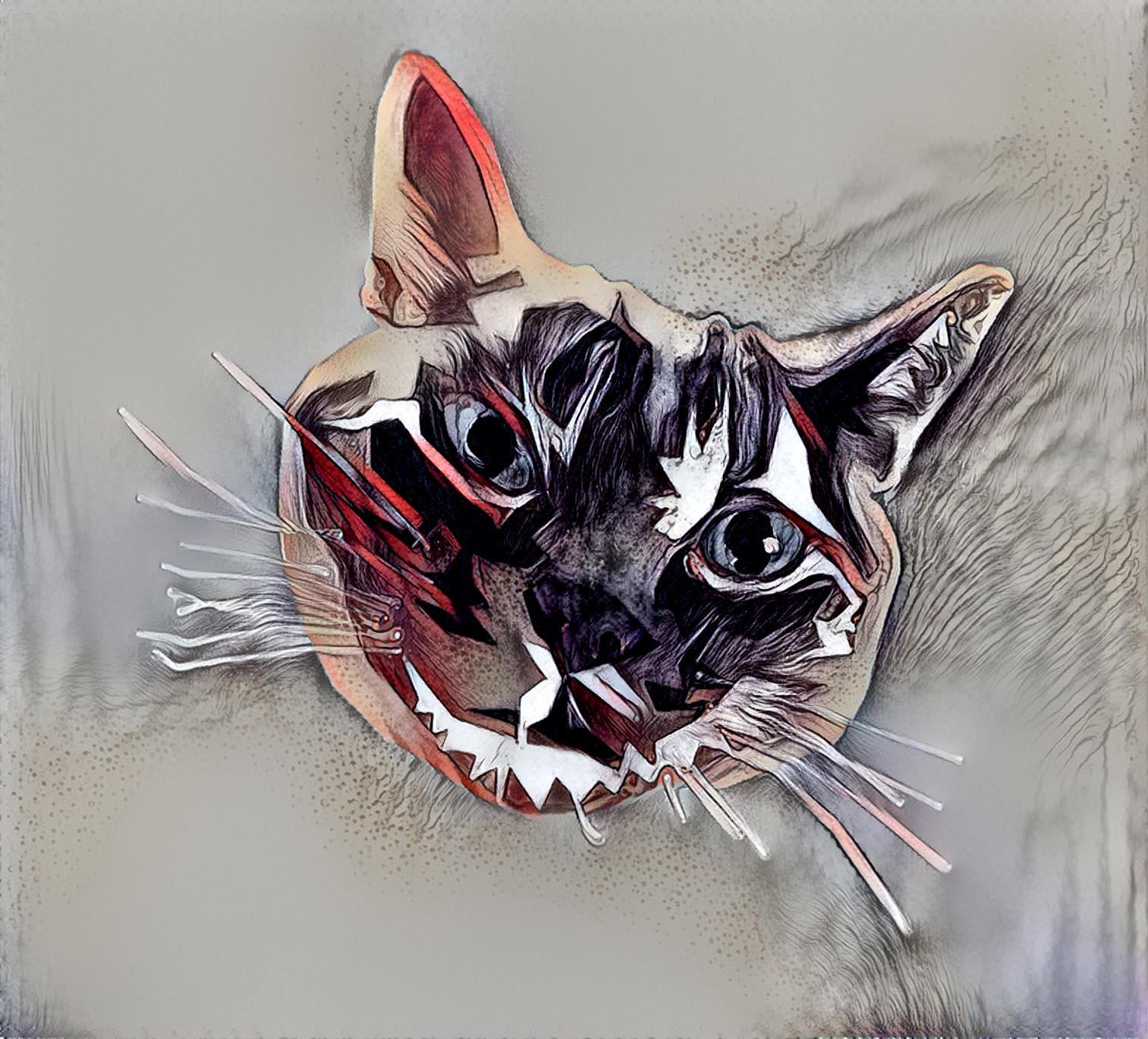 Cat Illustration