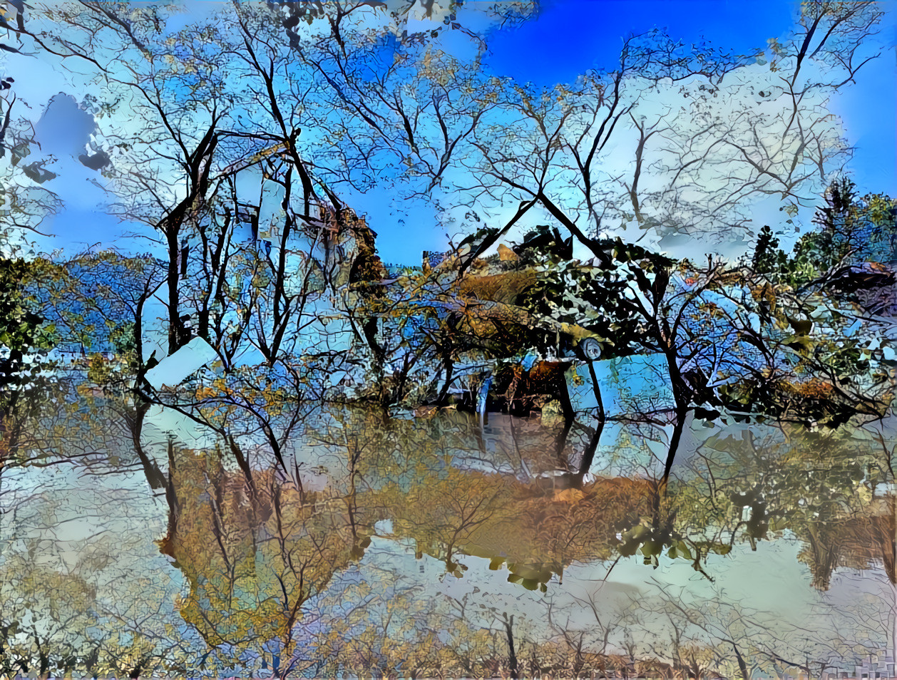 After the flood