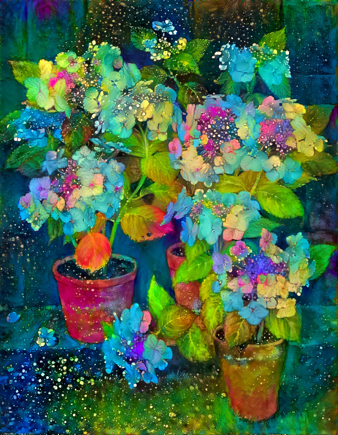 Hydrangea