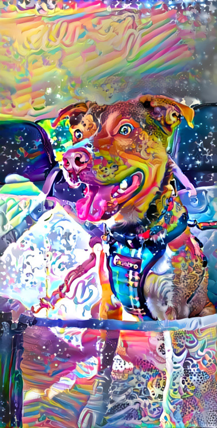 Logan - Lisa Frank