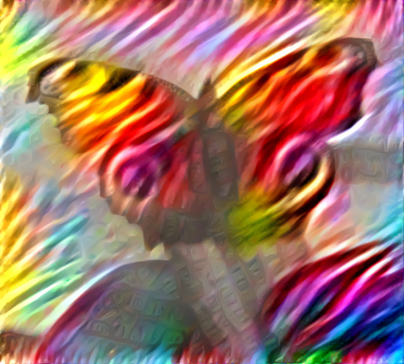 Fiery Butterfly