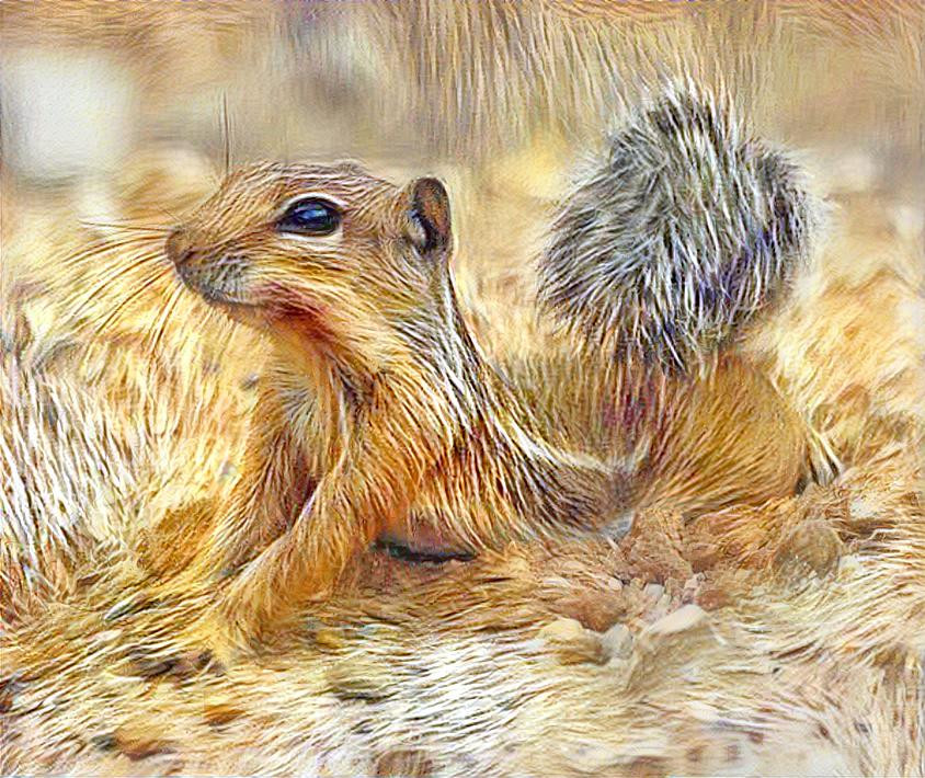 Chipmonk