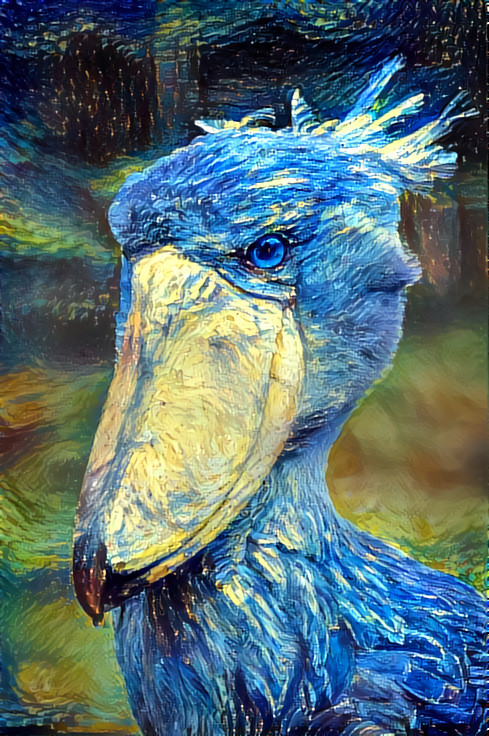 Shoebill