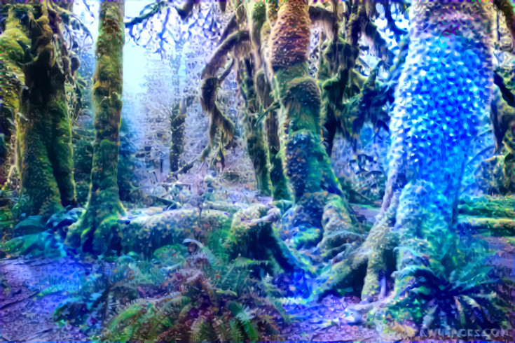 Hoh Rainforest