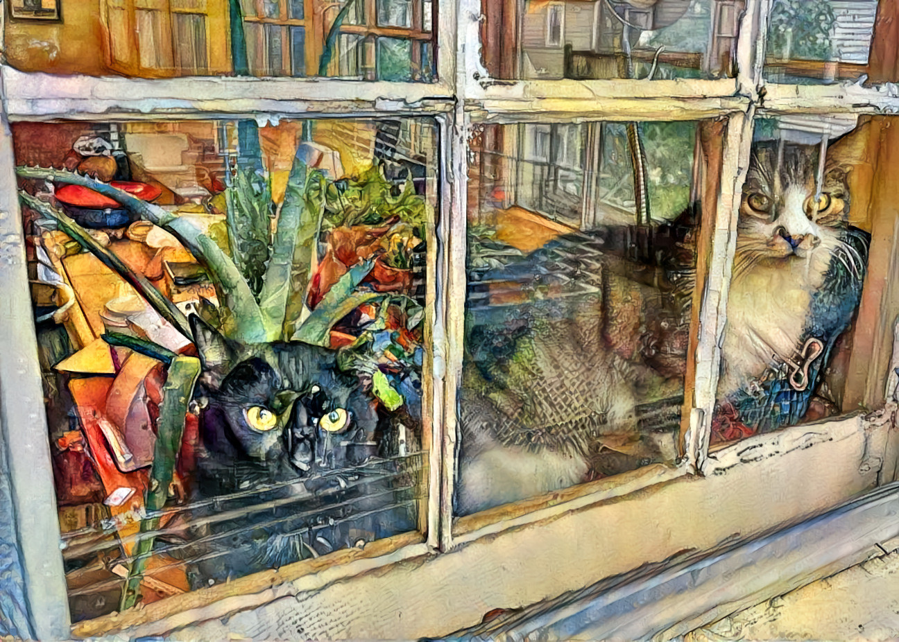 Two for the window