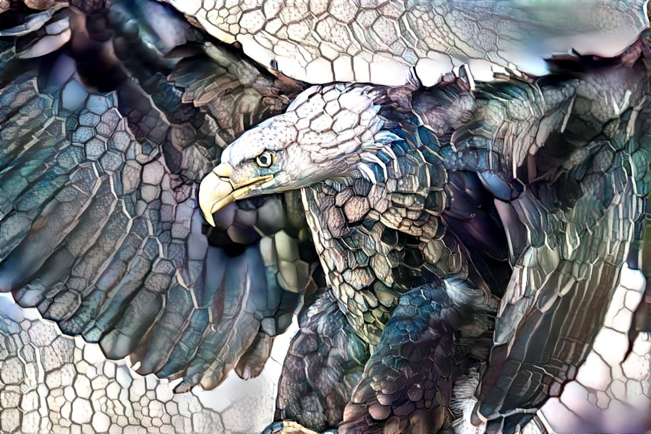 Eagle  [1.2MP]