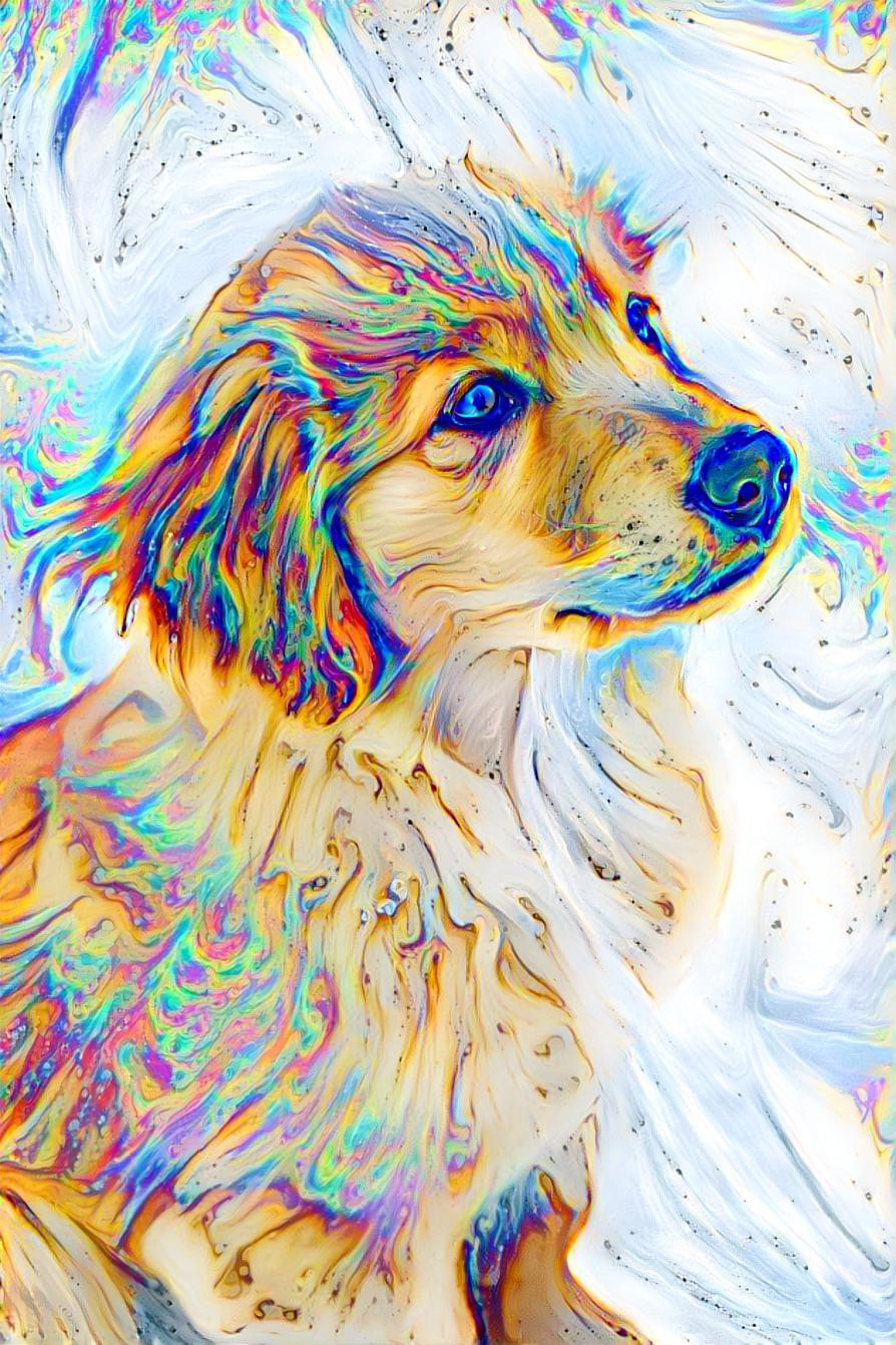 Rainbow pup