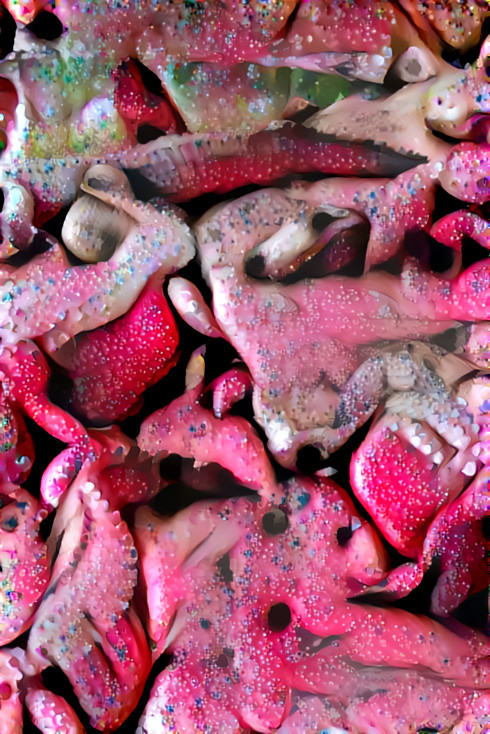 crocodiles made of doughnuts, donuts