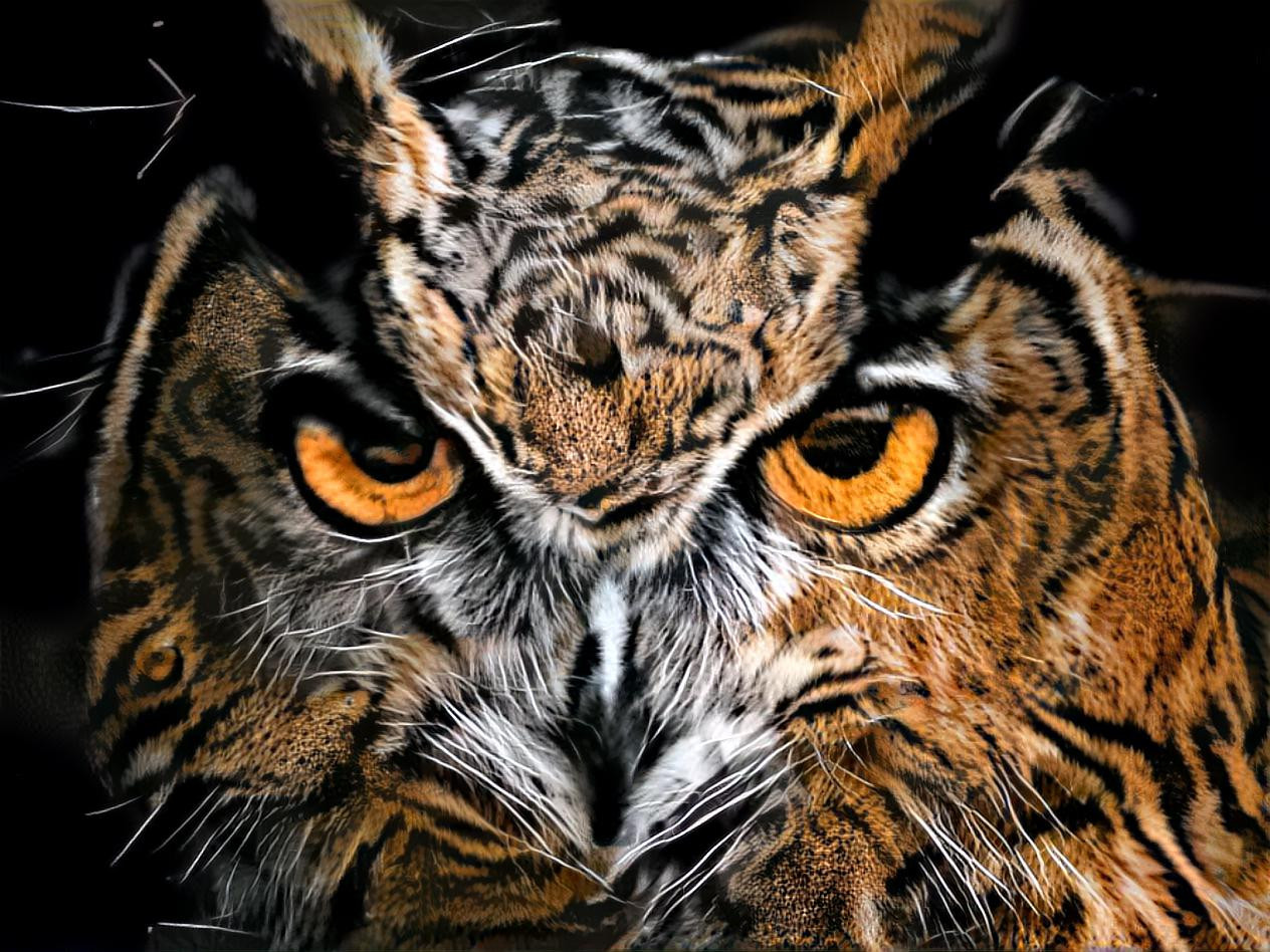 Tiger owl