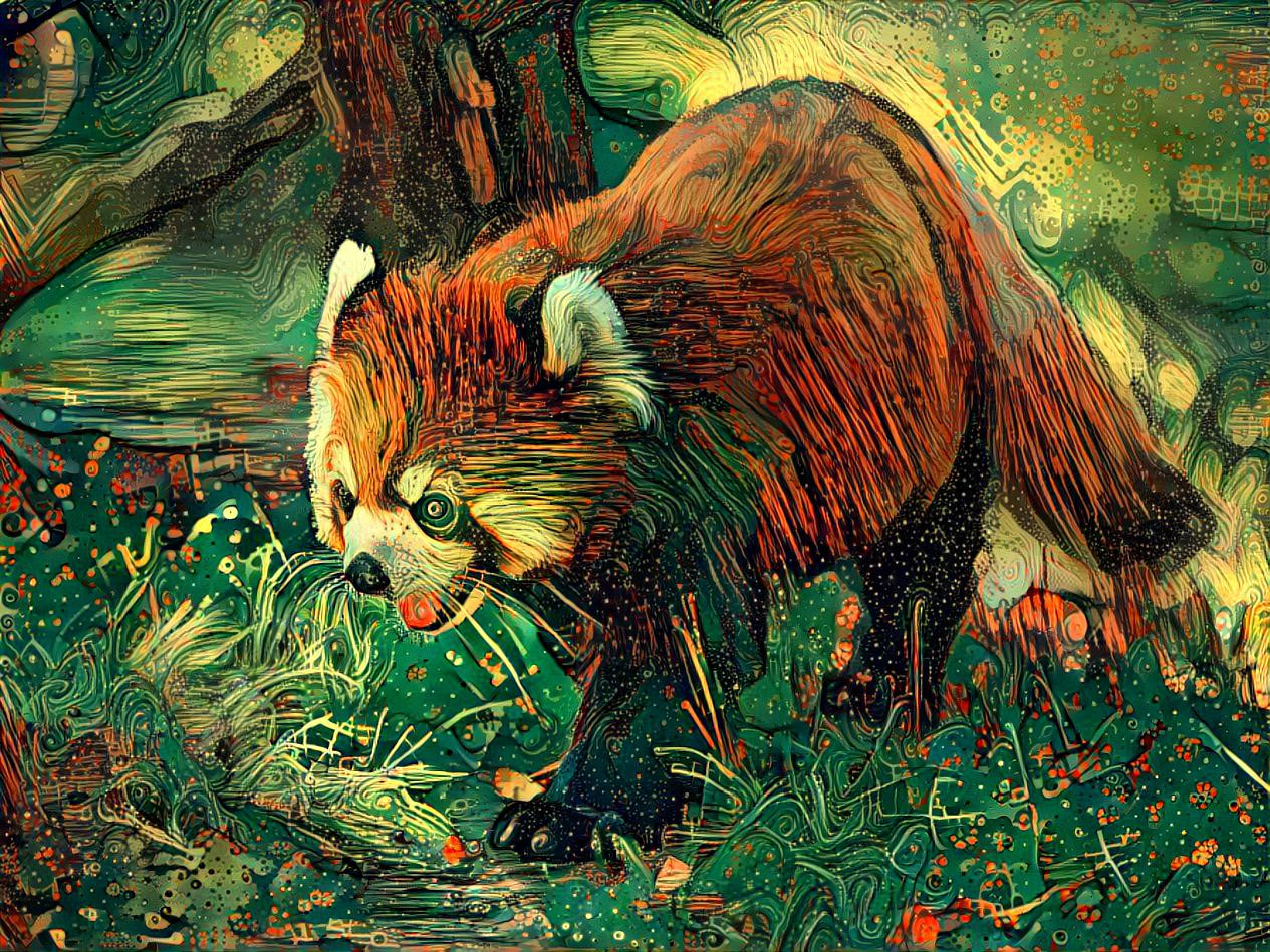 Red Panda