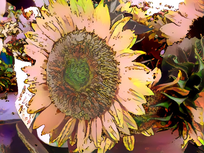 Sunflower Wormhole