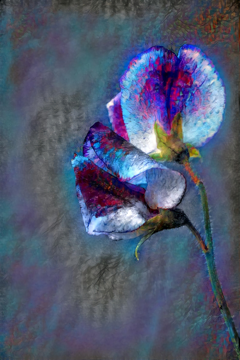 Lathyrus 1 abstract 109